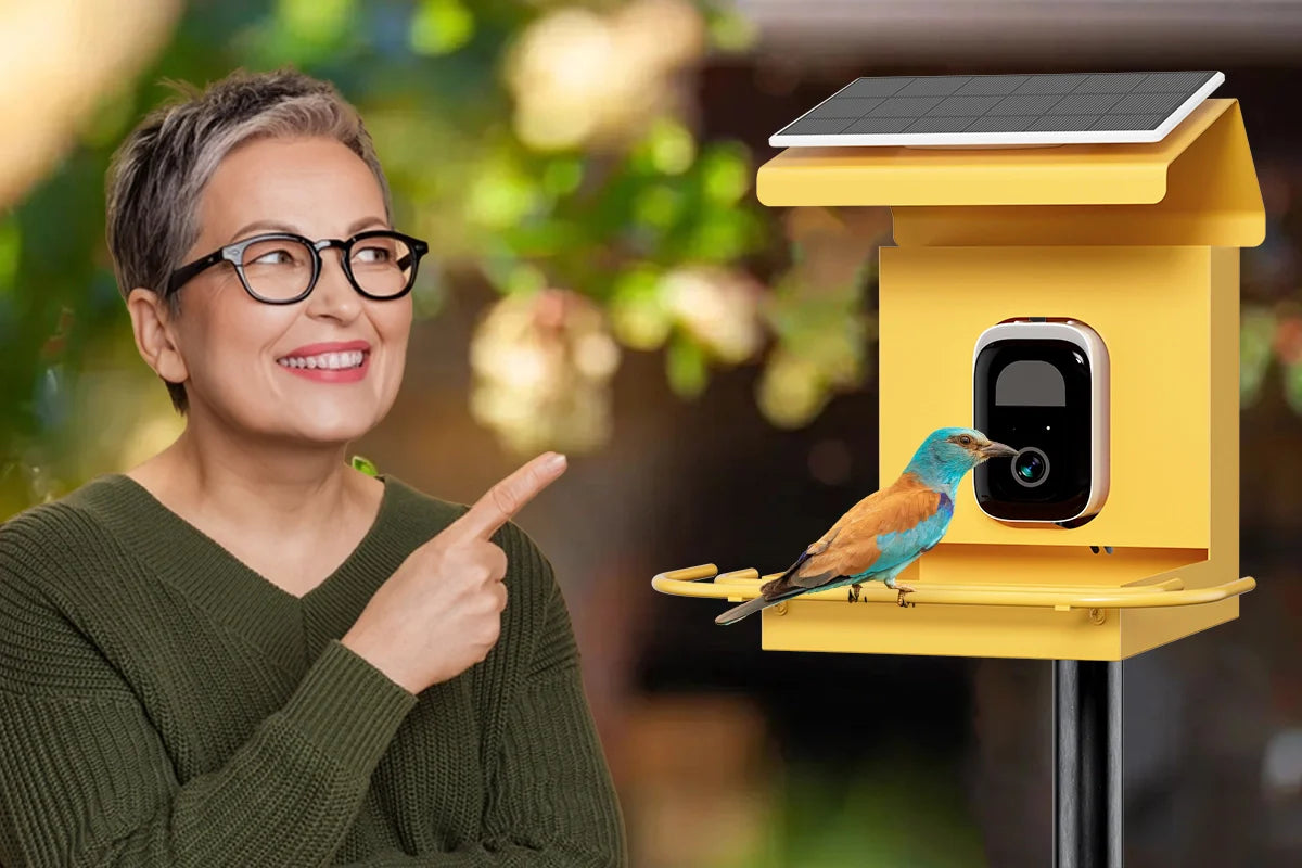 Smart Bird Feeder Subscription Plans: Unlocking the Full Potential of Your Bilantan Feeder