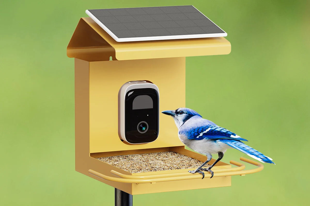 Ultimate Smart Bird Feeder Installation Guide: Maximizing Your Bilantan's Performance from Day One