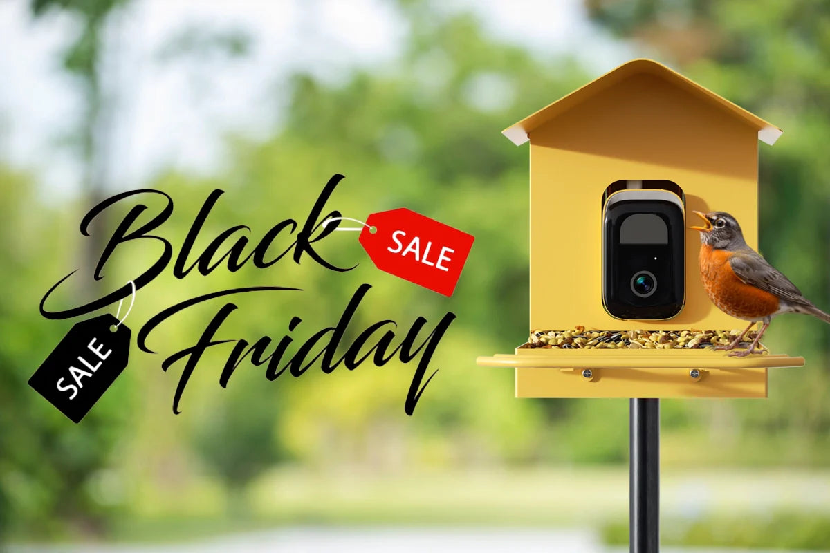 solar-powered bird feeder camera black friday