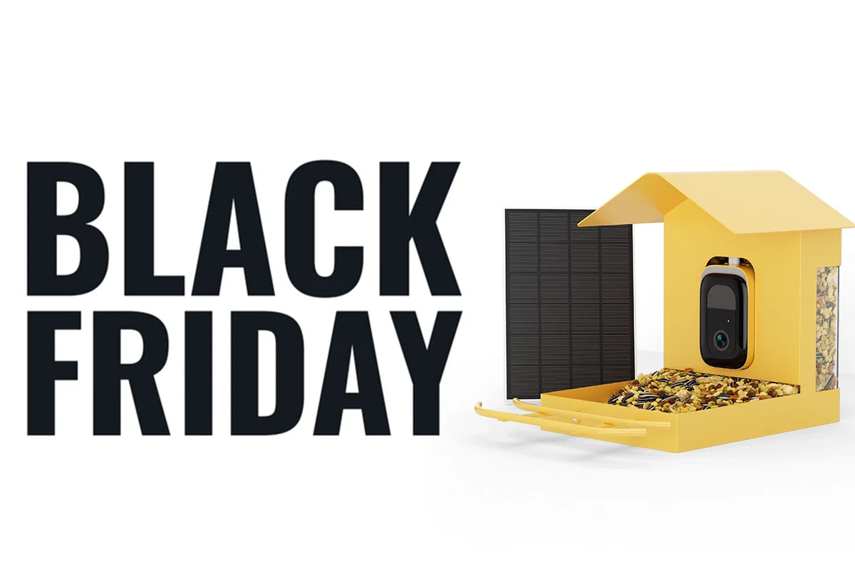 weatherproof bird feeder black friday
