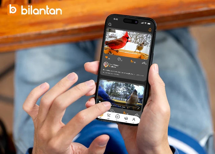 Do Bird Feeder Cameras Need WiFi