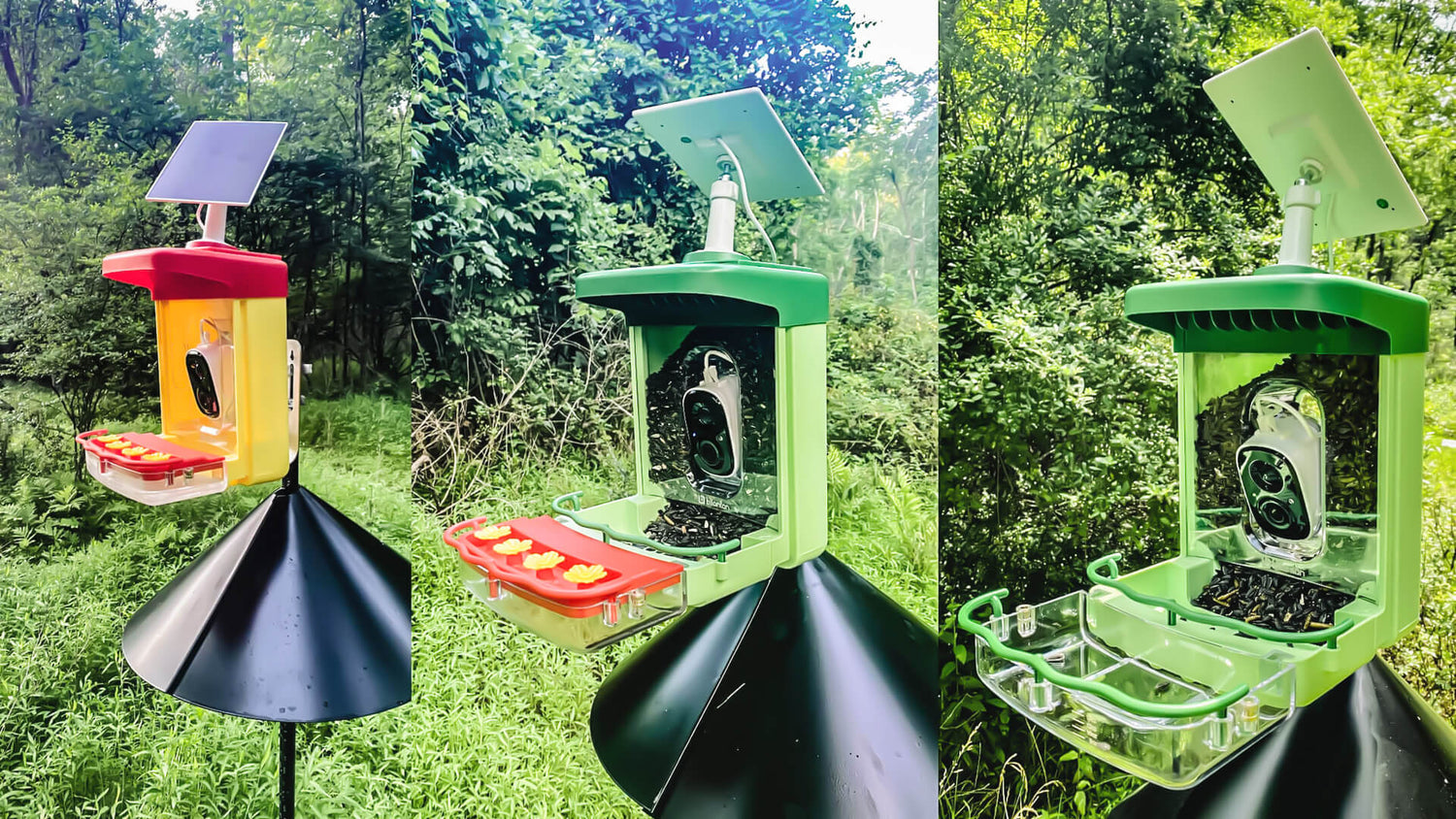 Bilantan bird feeder camera DIY