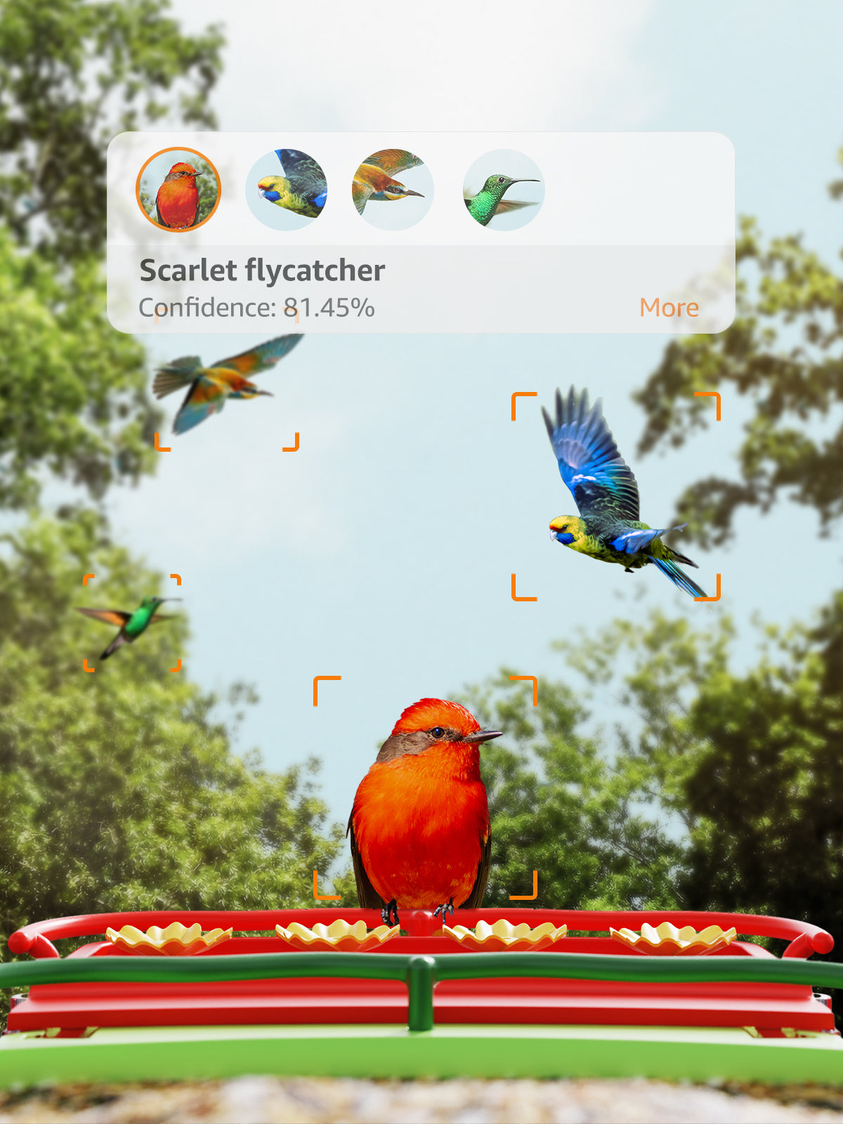 Smart bird feeder snaps bird selfies for collectible game and