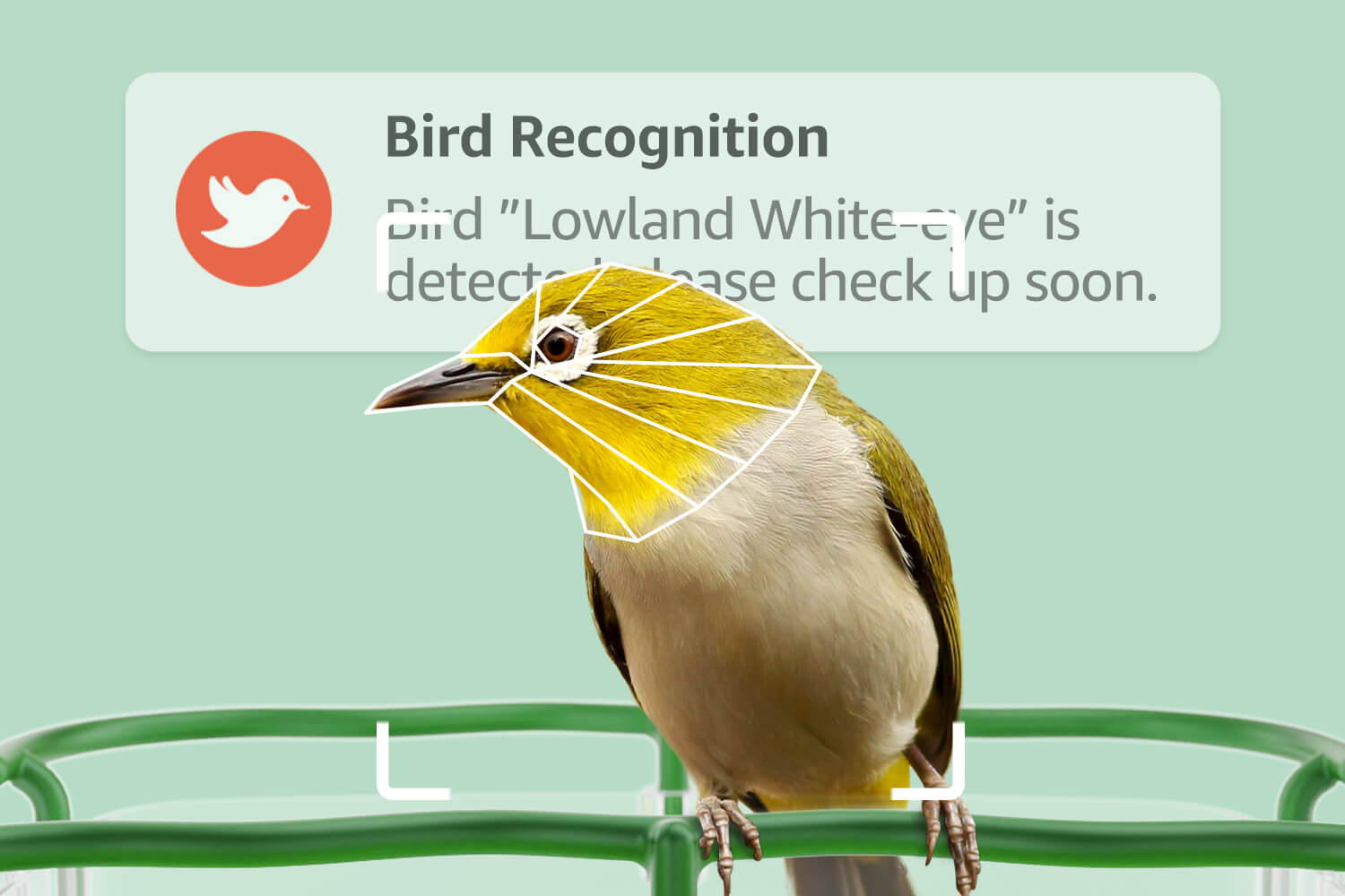 Bilantan BirdHi, Free and professional AI bird recognition, Have fun exploring your local wild birds!