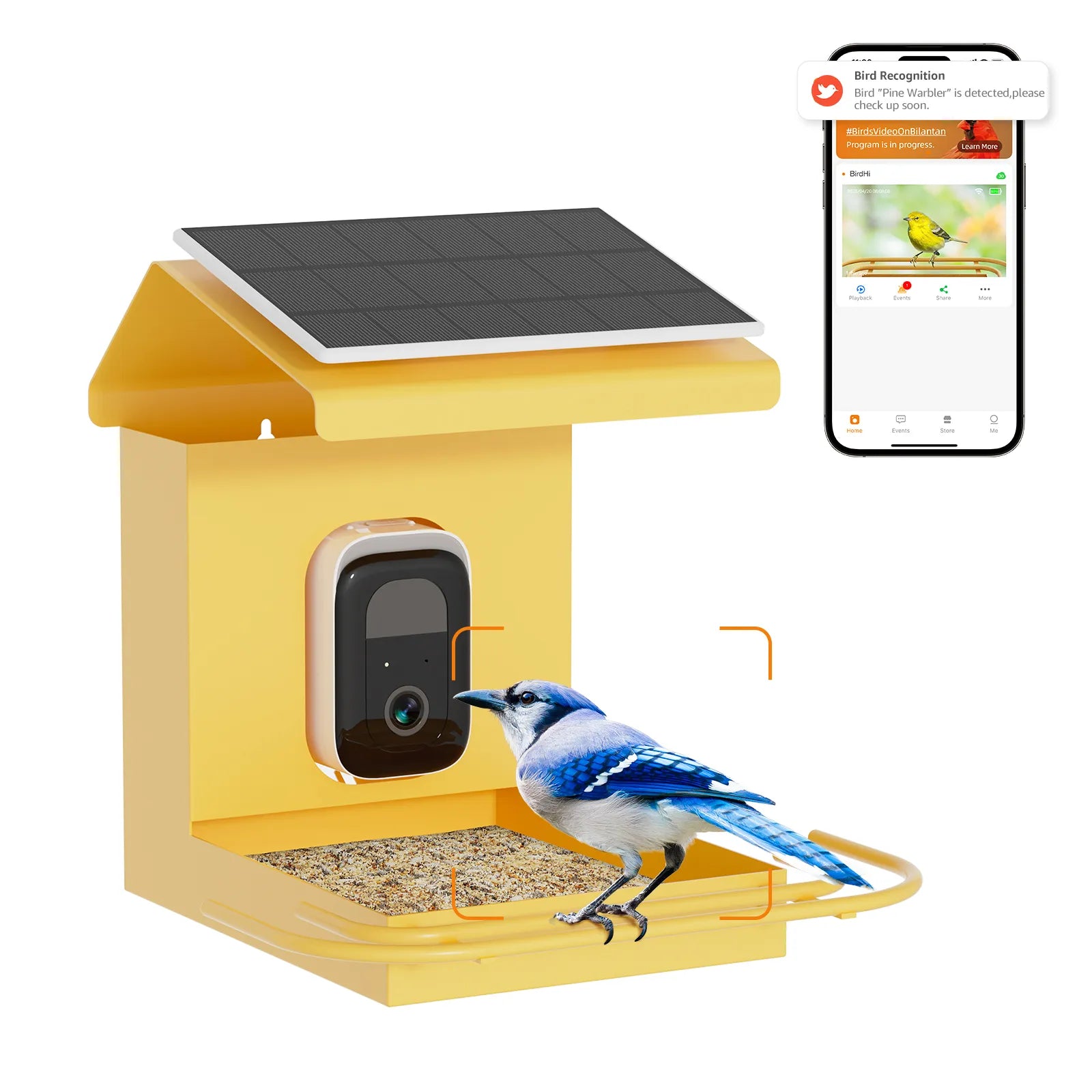 Bilantan BirdHi Mag Bird Feeder with Camera blends with nature, featuring a birdhouse design and unique decor to attract birds