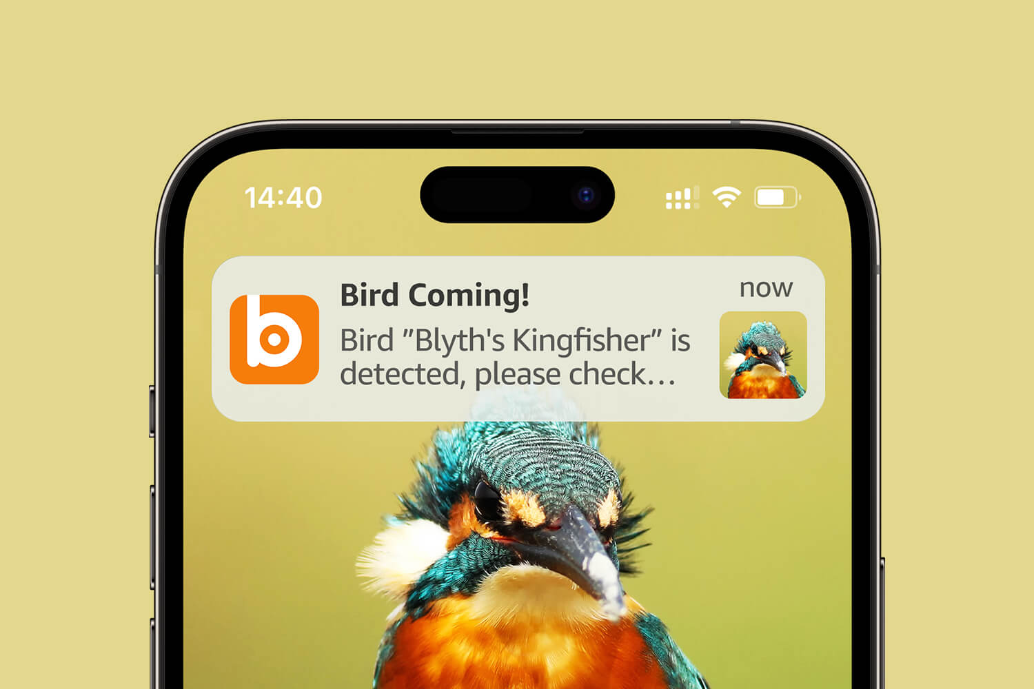BirdHi Ultra, Receive timely notifications whenever birds visit, So you won't miss any birds that make you smile.