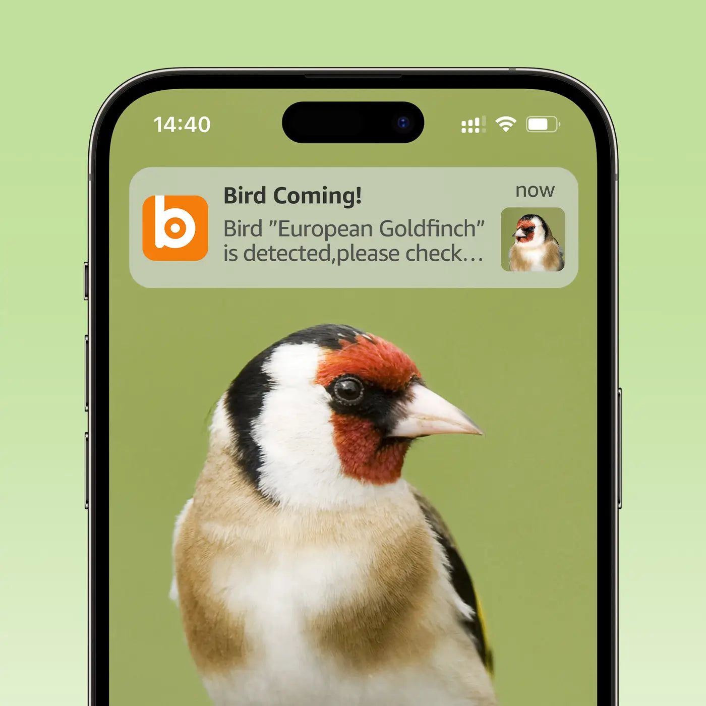 You will be notified whenever a bird comes to visit. Save their cute beautiful images/videos. For collect & share.