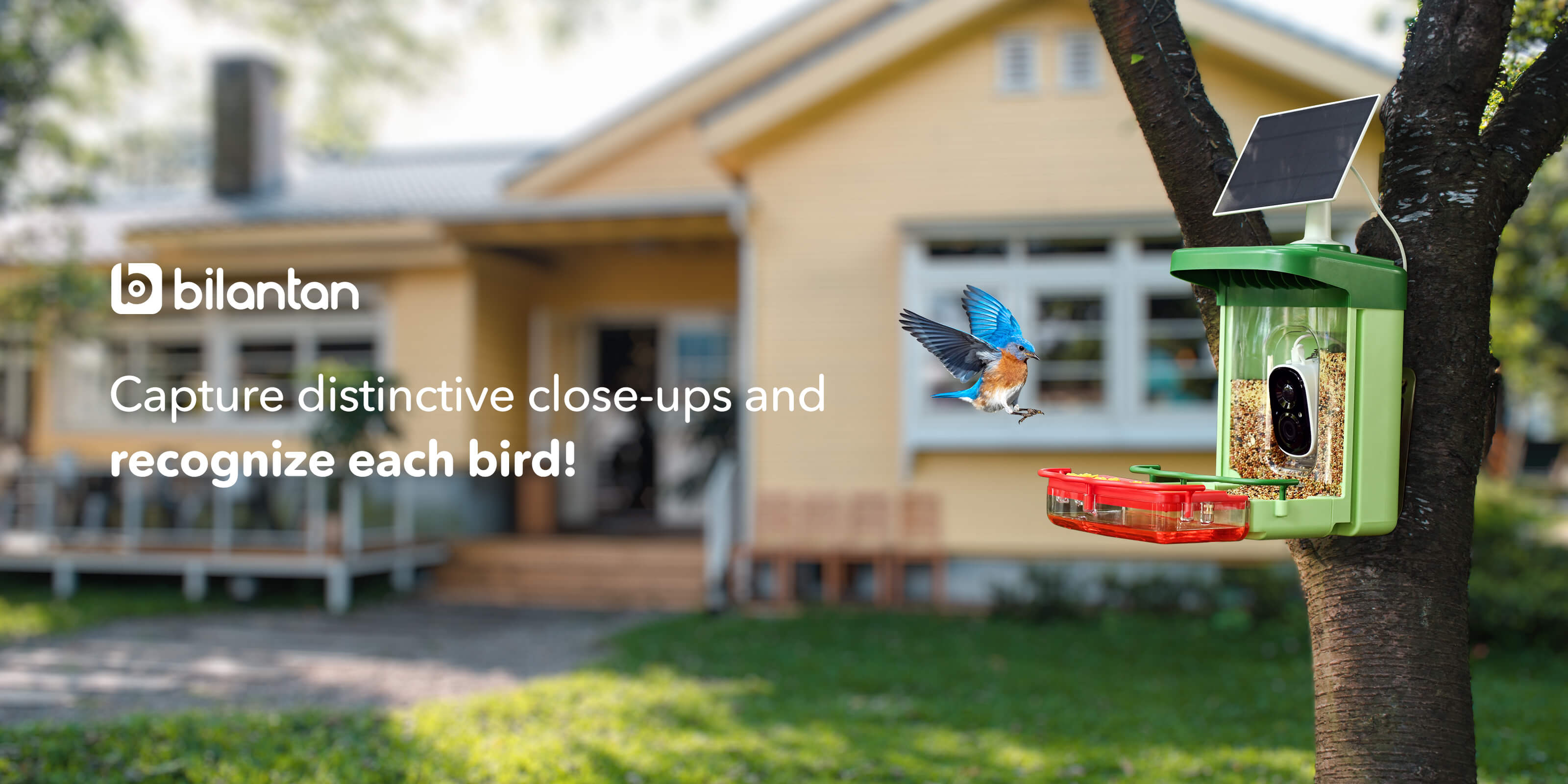 BirdHi Ultra: Capture distinctive close-ups and recognize each bird