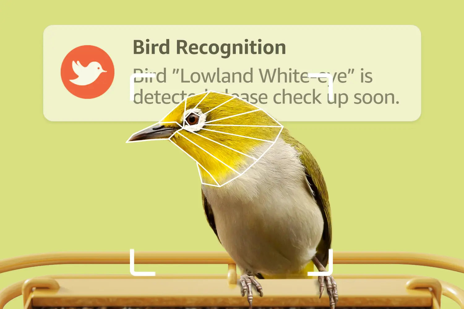 Free professional AI bird identification to discover all the birds in your backyard!