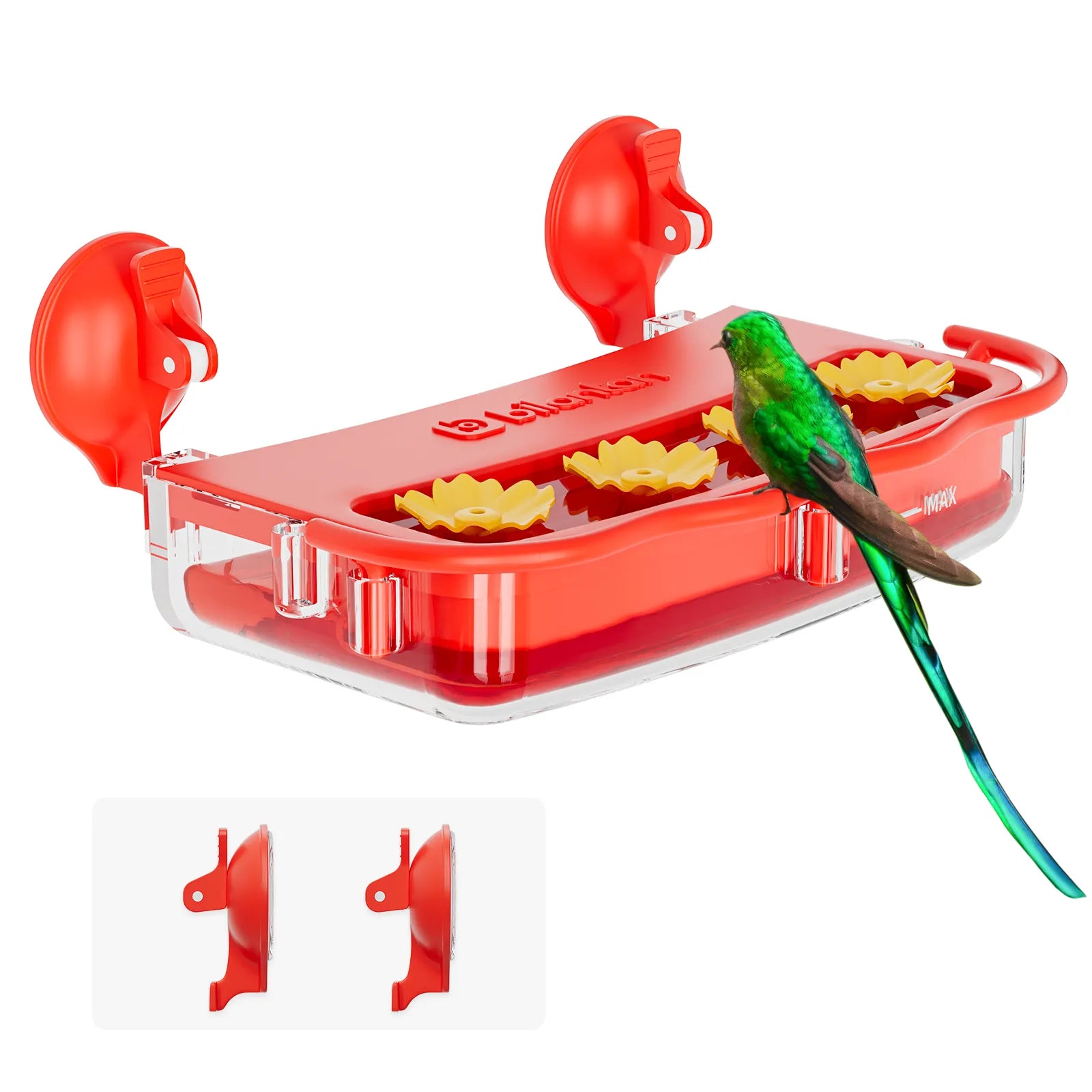 Hummingbird feeder suction cup