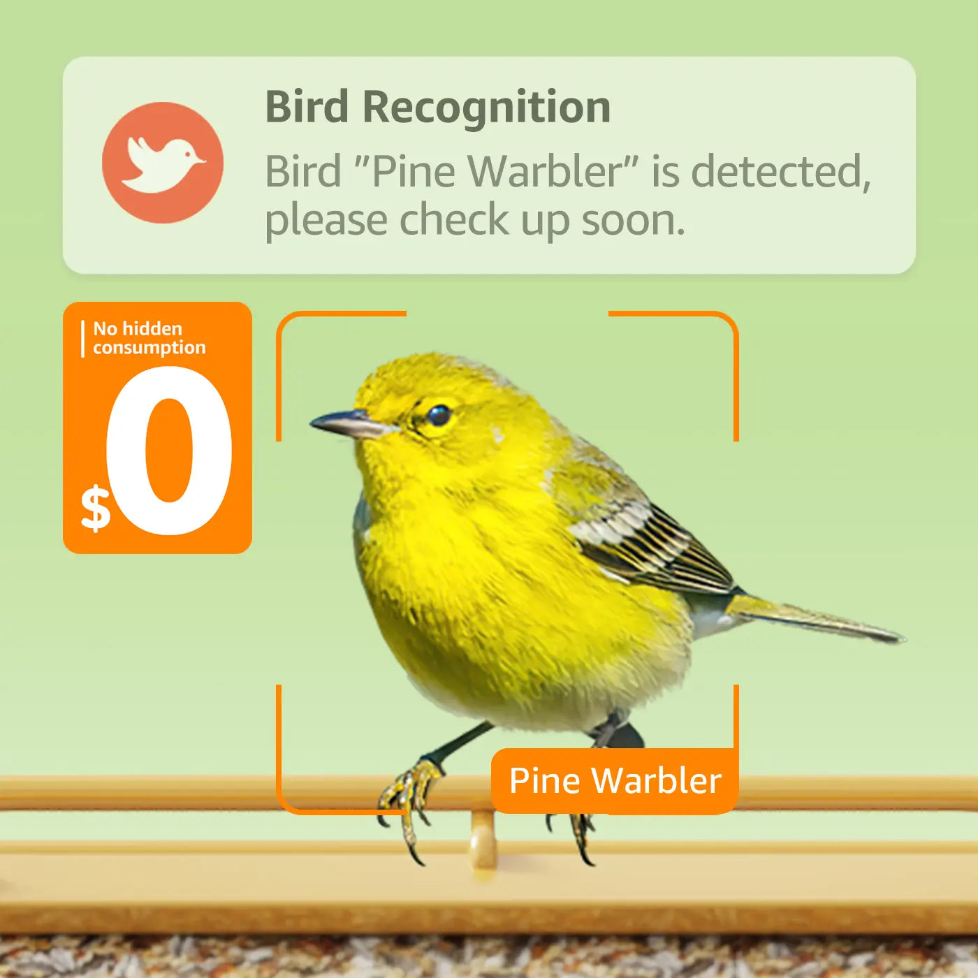More powerful AI bird recognition. Explore almost every species of bird. Lifetime FREE! No hidden consumption.
