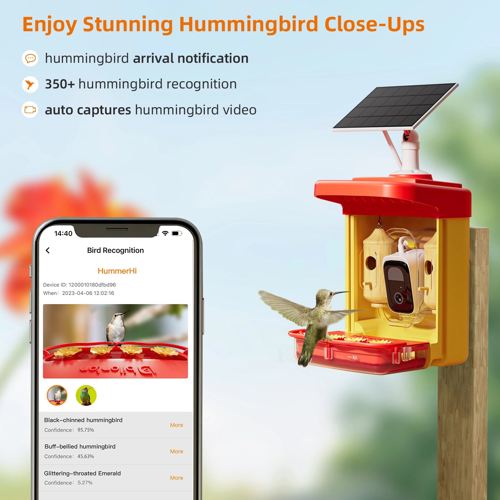 Bilantan HummerHi Hummingbird Feeder with Camera, Only 2.4G WiFi Compatible
