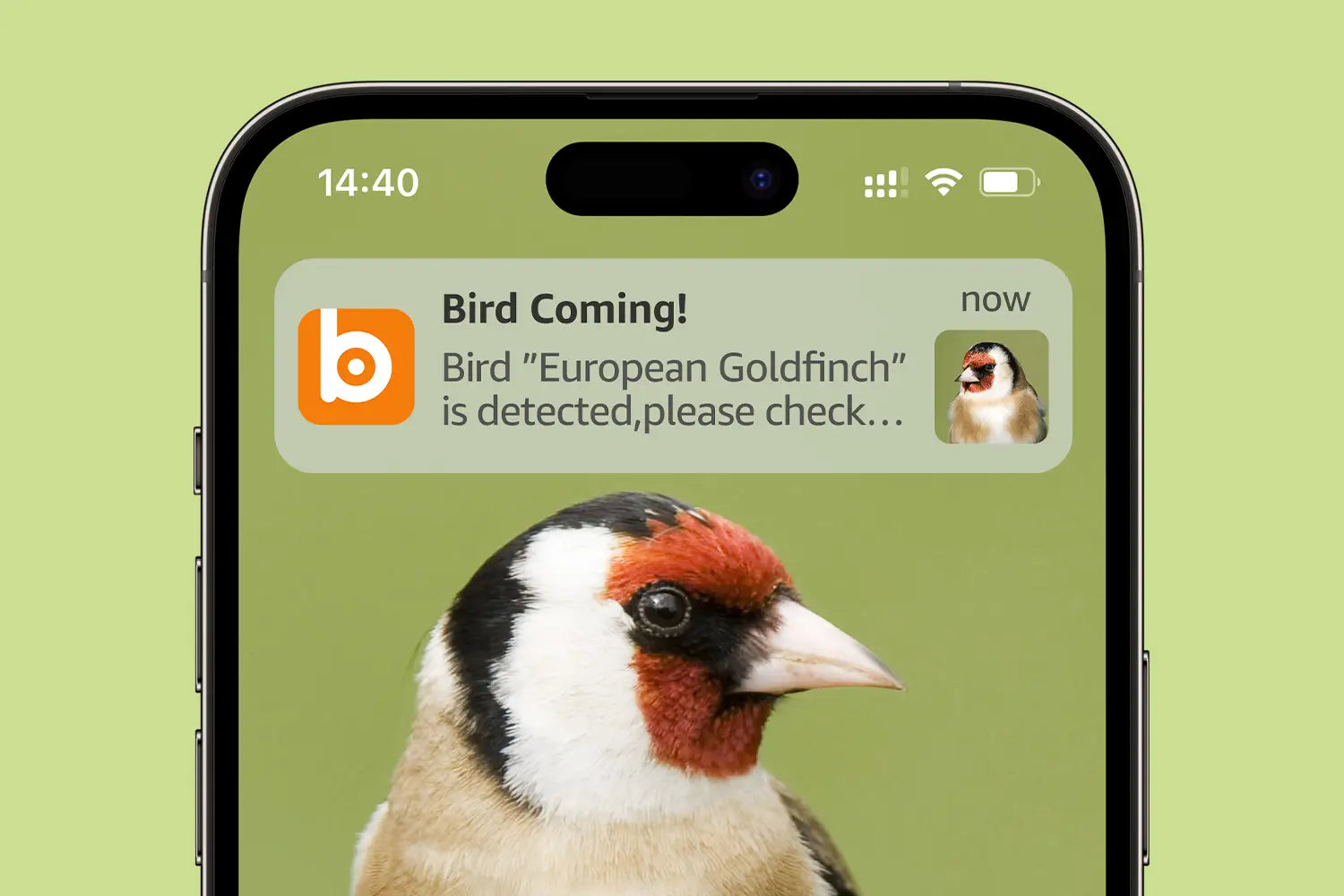 Receive timely notifications whenever birds visit