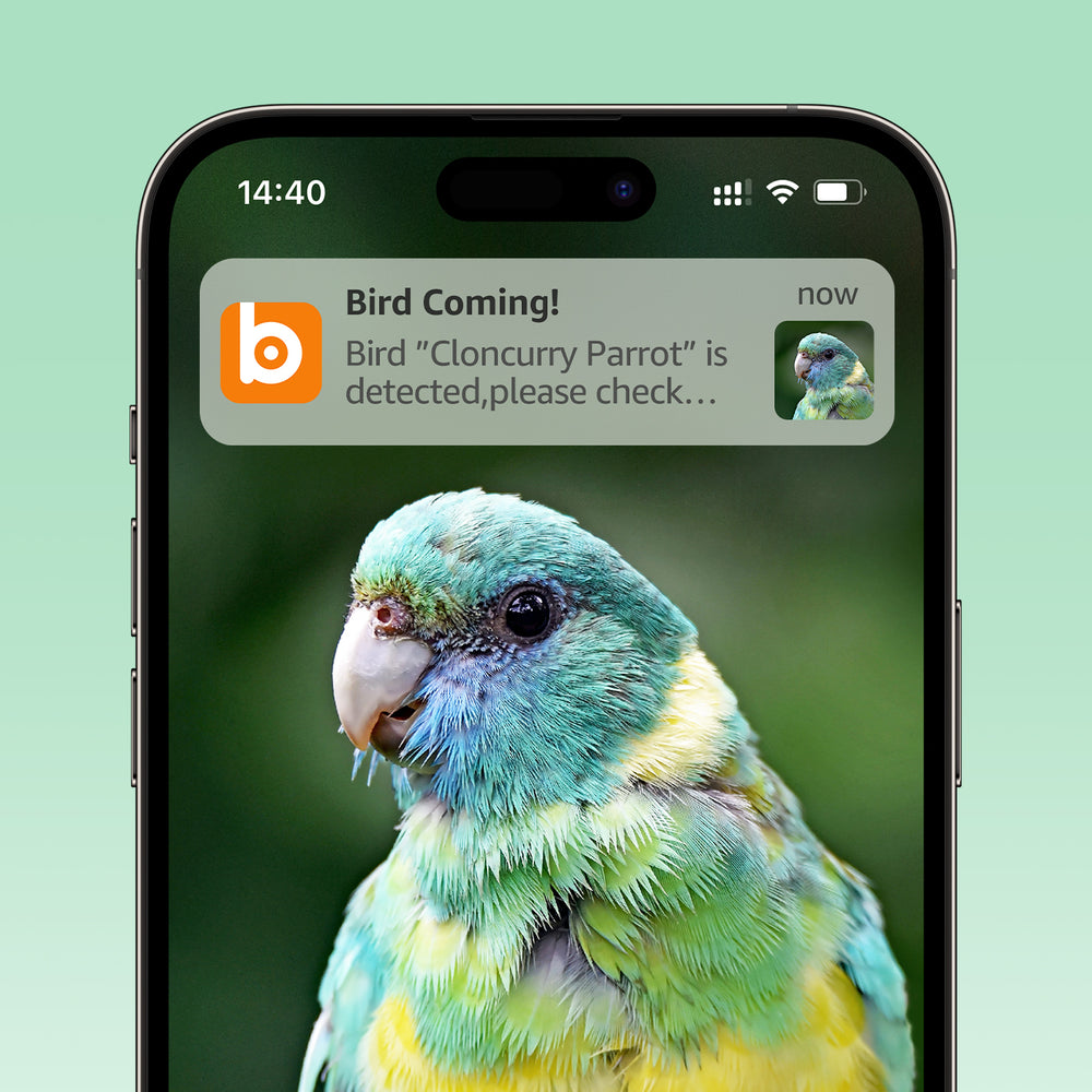 Bilantan Smart Bird Feeder with camera - AI powered Bird Feeder Camera