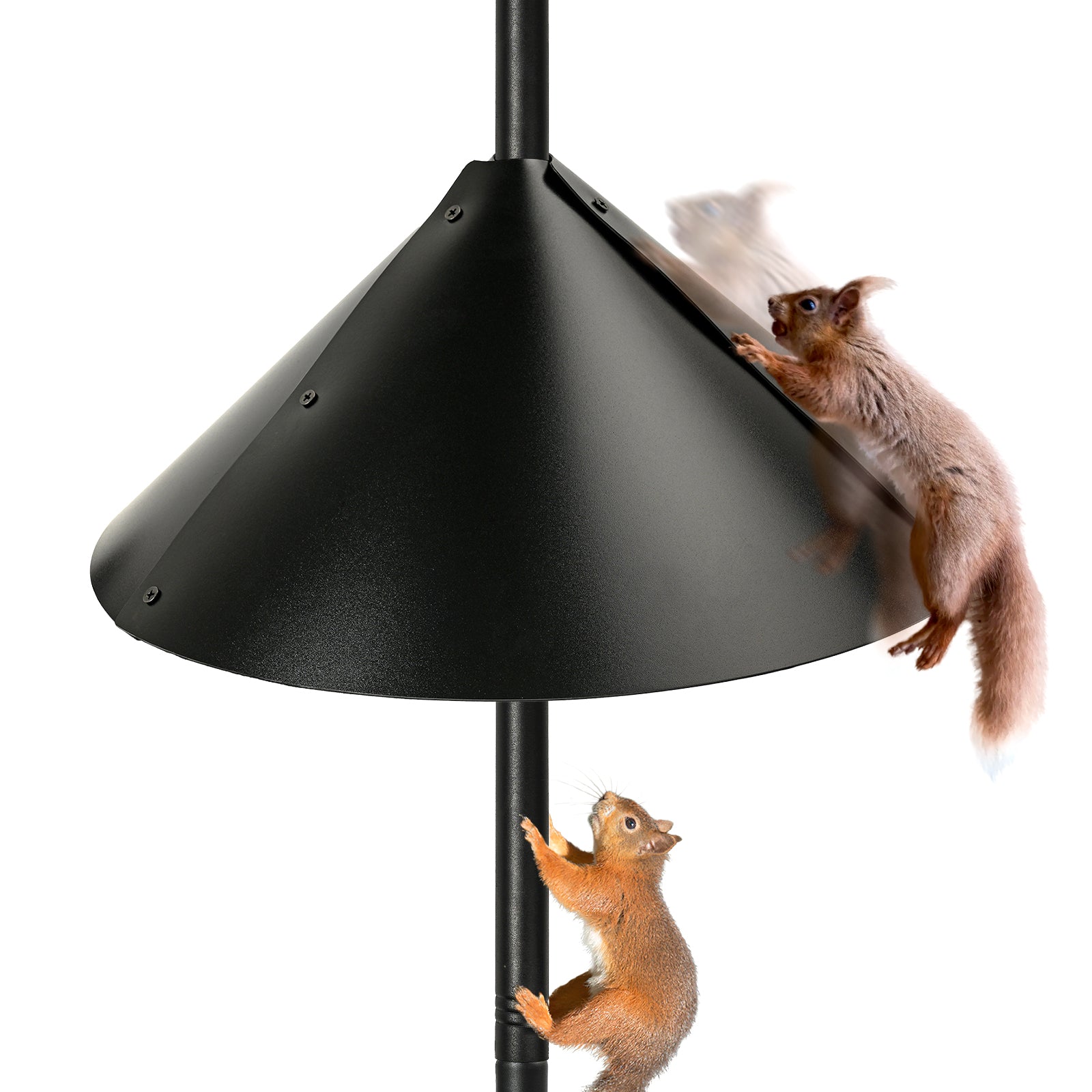 Squirrel Baffle for Bird Feeders