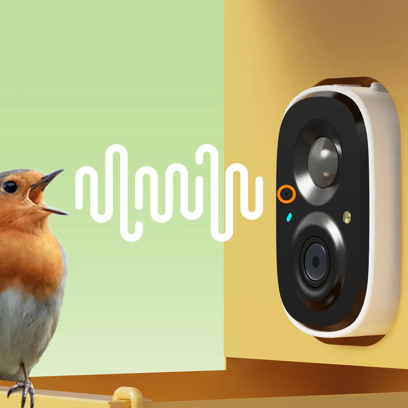 Connect with nature like never before! Talk with birds and listen to their beautiful melodies in real time.